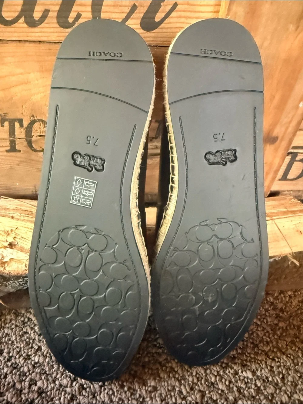 Coach Cruz Espadrille shoes